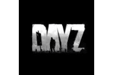 DayZ