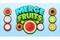 Fruit Merge