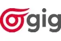 öGIG Logo
